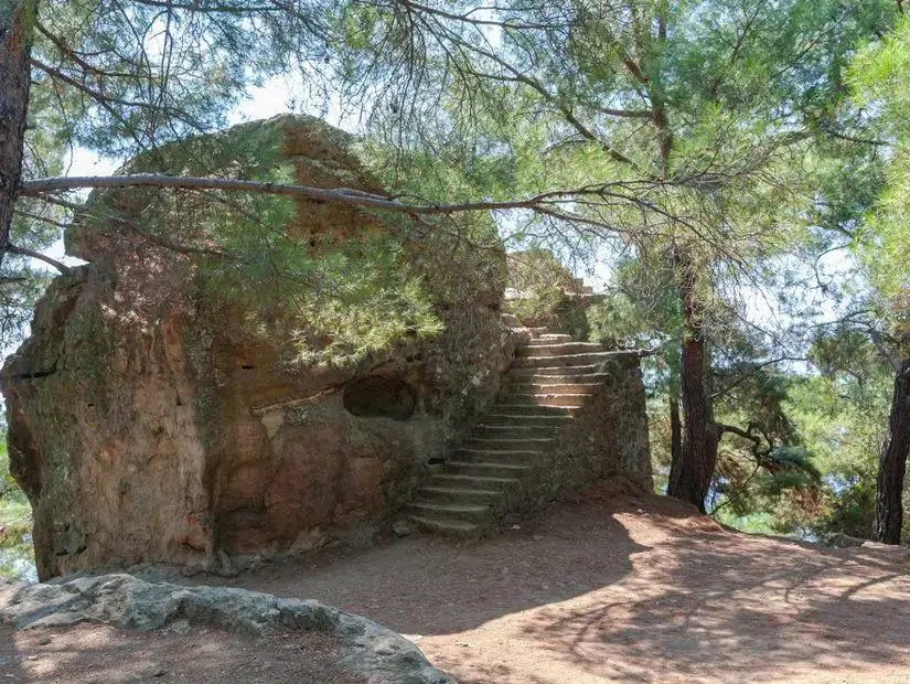 Gallery image